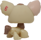 #1171 Chihuahua